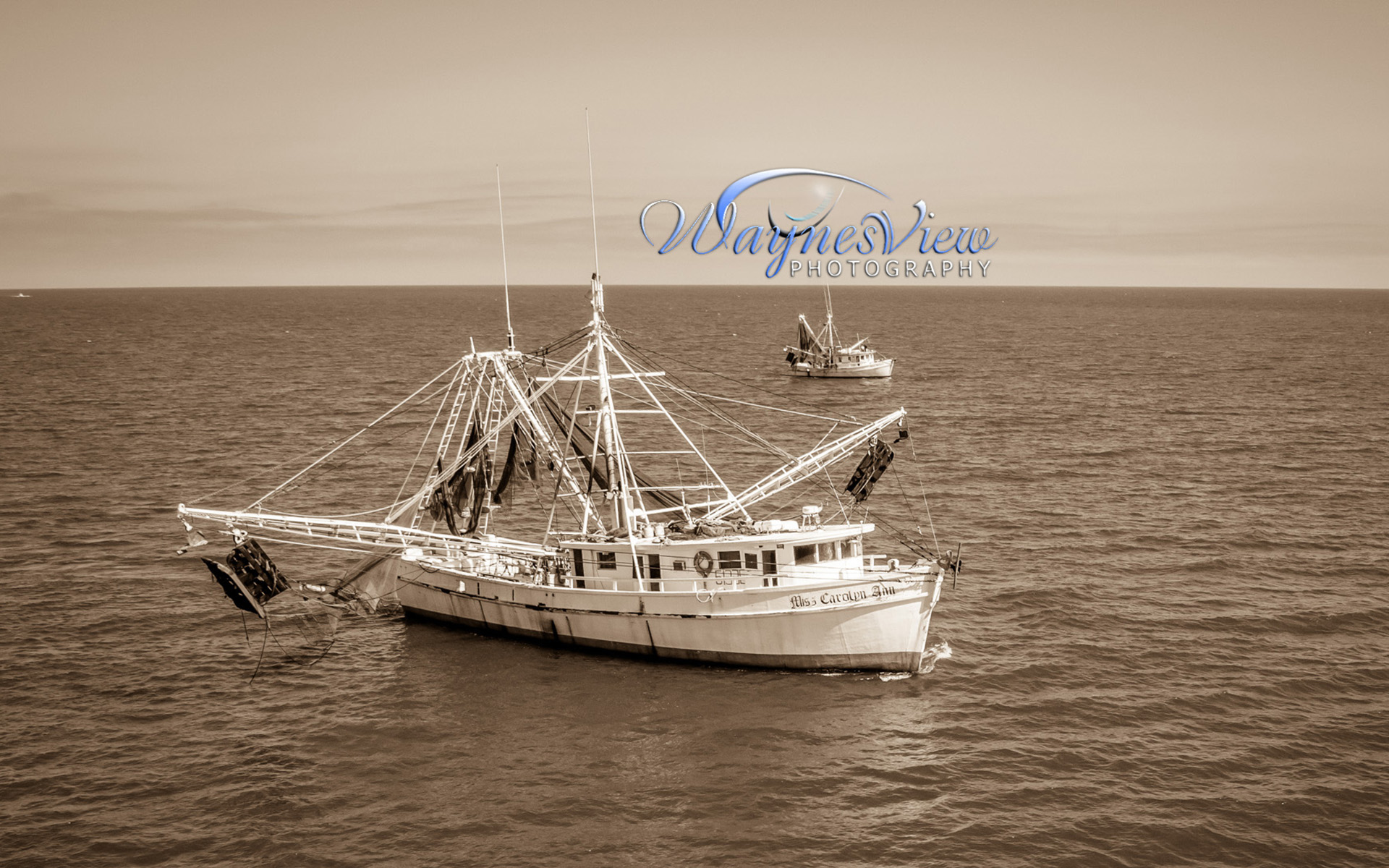 South Carolina Shrimping