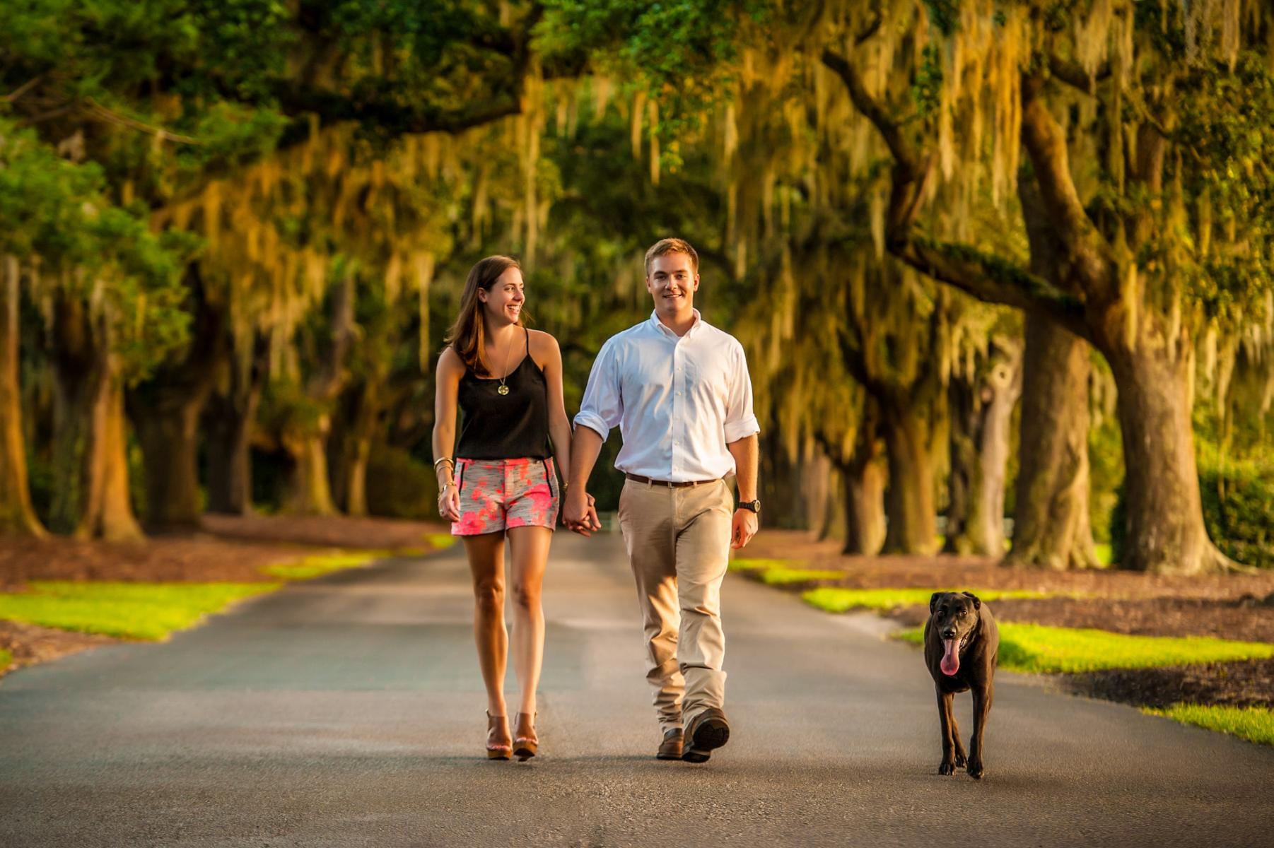 Avenue of Oaks and Spanish Moss