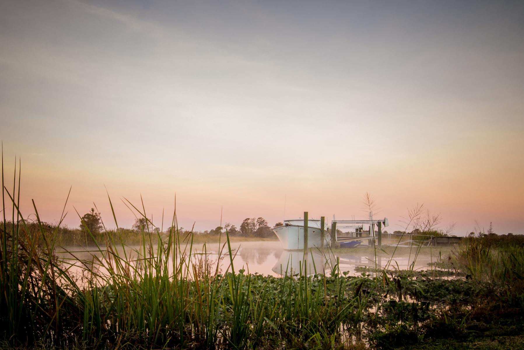 Lowcountry Life